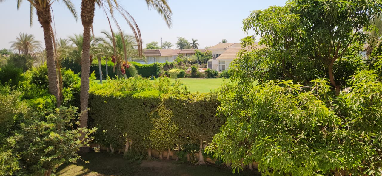 4 Bedroom Villa in Al Rabwa, Sheikh Zayed 2