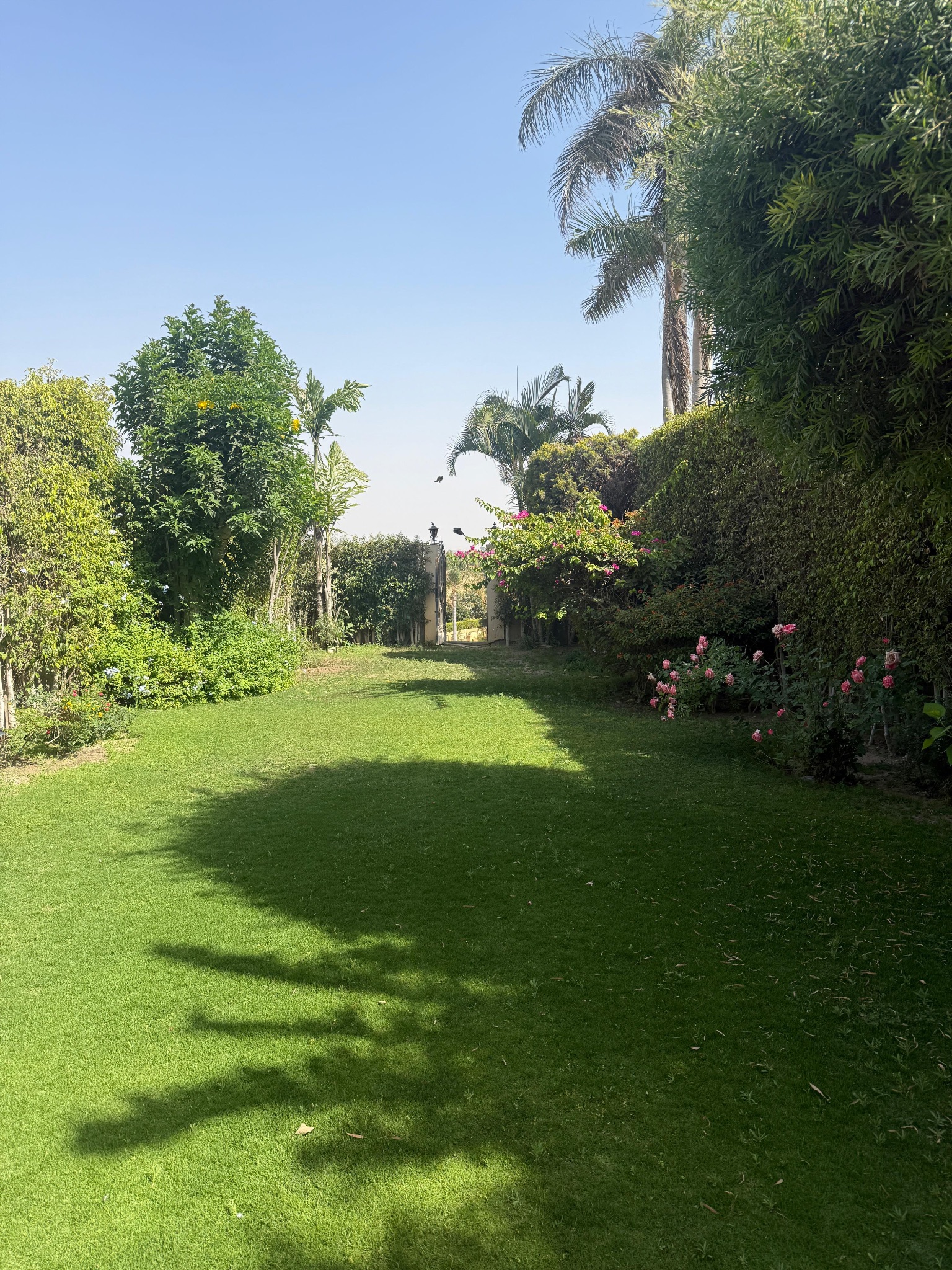 4 Bedroom Twinhouse in Al Rabwa, Sheikh Zayed 2
